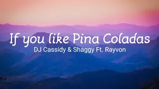 If You Like Pina Coladas DJ Cassidy And Shaggy Ft. Rayvon Lyric Video