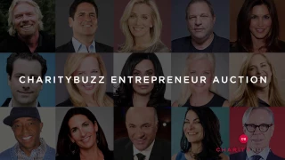 The 2016 Charitybuzz Entrepreneur Auction