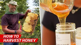 How a Family Business Became One of America's Best Natural Honey Vendors — Vendors
