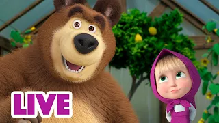 🔴 LIVE STREAM 🎬 Masha and the Bear 🐾 Helping Paw 🤝 New episode 2023 ➡️ Coming on November 17!