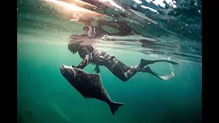 Saltstraumen Norway - A spearfishers paradise