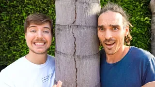 Why Is Mr Beast Planting 20 Million Trees?