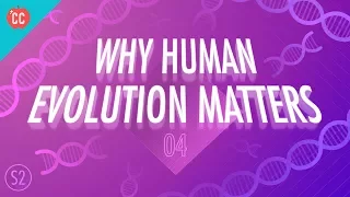 Why Human Evolution Matters: Crash Course Big History 204