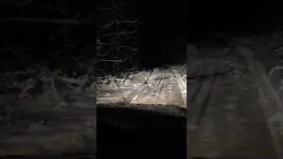 Hyundai ix35 по ночному лесу зимой Щёлково