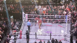 Jake Paul drops Anderson Silva in the 8th round