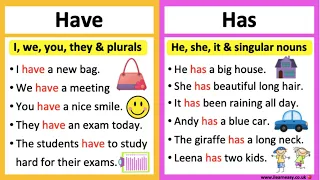 HAVE vs HAS 🤔| What's the difference? | Learn with examples