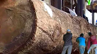 the most expensive luxury wood in the world with the fastest money earning in the world