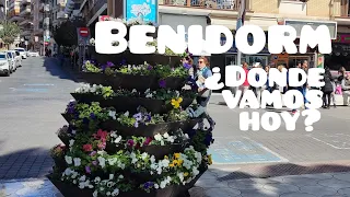 Benidorm 🥳 ¿dónde vamos hoy?