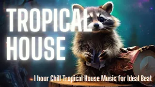 1 hour Tropical House Music for Ideal Chilling | Beat to study | Enjoying | Relaxing