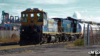 Ex-Seaboard MP15s on the Niagara Junction Line