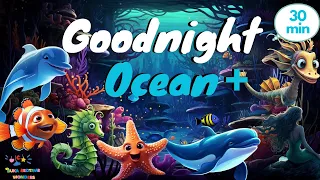 Goodnight Ocean + More Top Bedtime Stories for Toddlers and Babies 30 Mins Goodnight Story