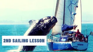 EP7 - SAILING LESSON - How not to have a WHALE BREACH your boat