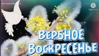 Открытка С Вербным Воскресеньем! Красивое Музыкальное поздравление!