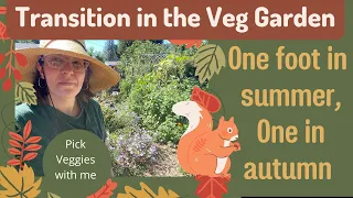 Garden Transition Periods.  Picking Veggies with One Foot in Summer, One in Autumn
