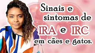 SINAIS E SINTOMAS DE INSUFICIÊNCIA RENAL AGUDA E CRÔNICA EM CÃES E GATOS.