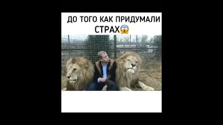 волшебный тапок Зубкова😂😂