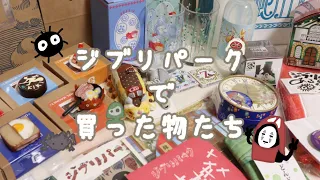 【購入品紹介】ジブリパークに行ってきました！(魔女の谷ではありません)