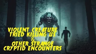 DOGMAN, VIOLENT CREATURE TRIED KILLING US & OTHER STRANGE CRYPTID ENCOUNTERS