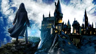 Hogwarts Legacy - TEST EN CARTON #110