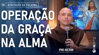 Operação da graça na alma | (Mc 4, 26-34) #649- Meditação da Palavra