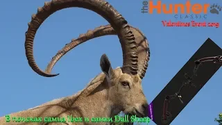 theHunter Classic # 52/Valentines Event 2019/+ обзор на Compound Bow "Red Dragon"