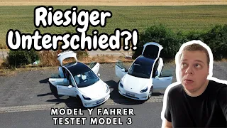 Model Y Fahrer testet das Model 3! -- Wie groß sind die Unterschiede?!