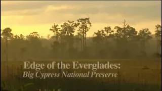 Edge of the Everglades: Big Cypress National Preserve - A WGCU Documentary