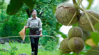 破殼而出的美味，不到秋天它是不會跳出來的【核桃】Country girl, picking walnuts back to make a variety of food｜野小妹 wild girl