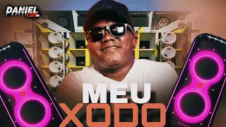 BIGUINHO SENSAÇÃO REPERTÓRIO ATUALIZADO 2O24 MEU XODO// DANIEL CDS