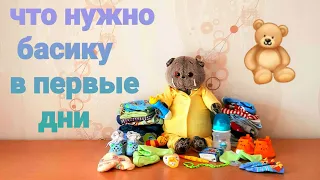 Что нужно новорождённому басику в первые дни?