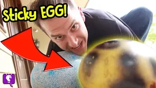 STICKY EGG in HobbyGuy House! by HobbyKidsTV