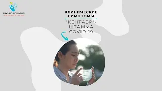 "Кентавр" новый штамм коронавирусной инфекции COVID-19