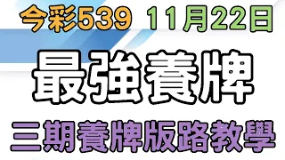 【今彩539】11月22日｜最強養牌｜少年狼539｜三期養牌版路教學