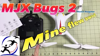 MJX Bugs 2, Mine flew away already!  But it was my fault, this is what I did wrong.