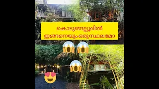 Kodungalloorile Wayanad//Travel fun cook with iaanus mom// #treehouse #kodungallur #hut #travel