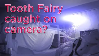 Tooth Fairy caught on night vision camera ?