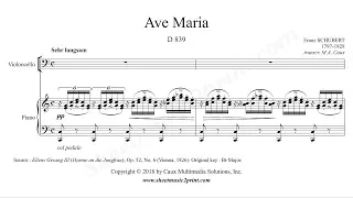 Schubert : Ave Maria - Cello