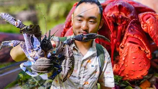 COCONUT CRAB HUNT | We Eat One!