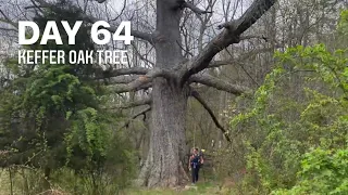 Day 64 Camp on The Ridge! 2022 Appalachian Trail thru-hike AT Catch22