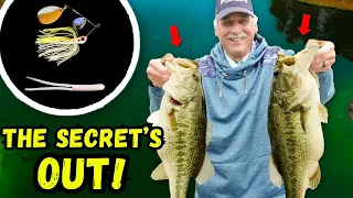 The SECRETS & HISTORY Behind My CLASSIC SPINNERBAIT!
