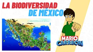 La Biodiversidad de México