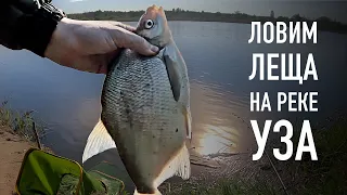 🐟👌 Ловим леща на Узе