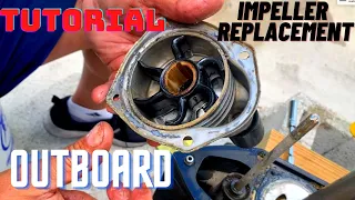 How to Replace an Outboard Motor Impeller on a Mercury Four Stroke #tutorial