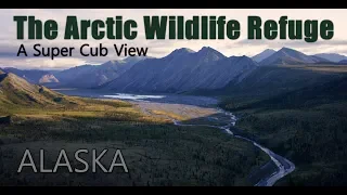The Alaska Arctic National Wildlife Refuge from a Super Cub.