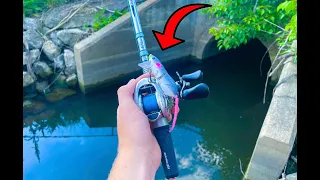 WILL THIS TIKTOK SHOP RAT LURE CATCH FISH???