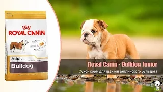 Сухой корм для щенков английского бульдога до 12 месяцев · Royal Canin Bulldog Junior