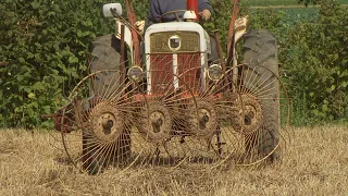 David Brown 880 tractor using a vintage hay tedder (demonstrated with straw)