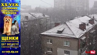 Первый снег / ДНЕПР, 13 декабря 2022
