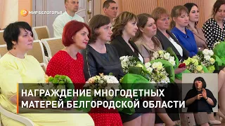 Награждение многодетных матерей Белгородской области