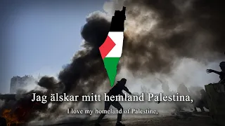"They are killing our comrades" - Swedish Pro-Palestinian Song